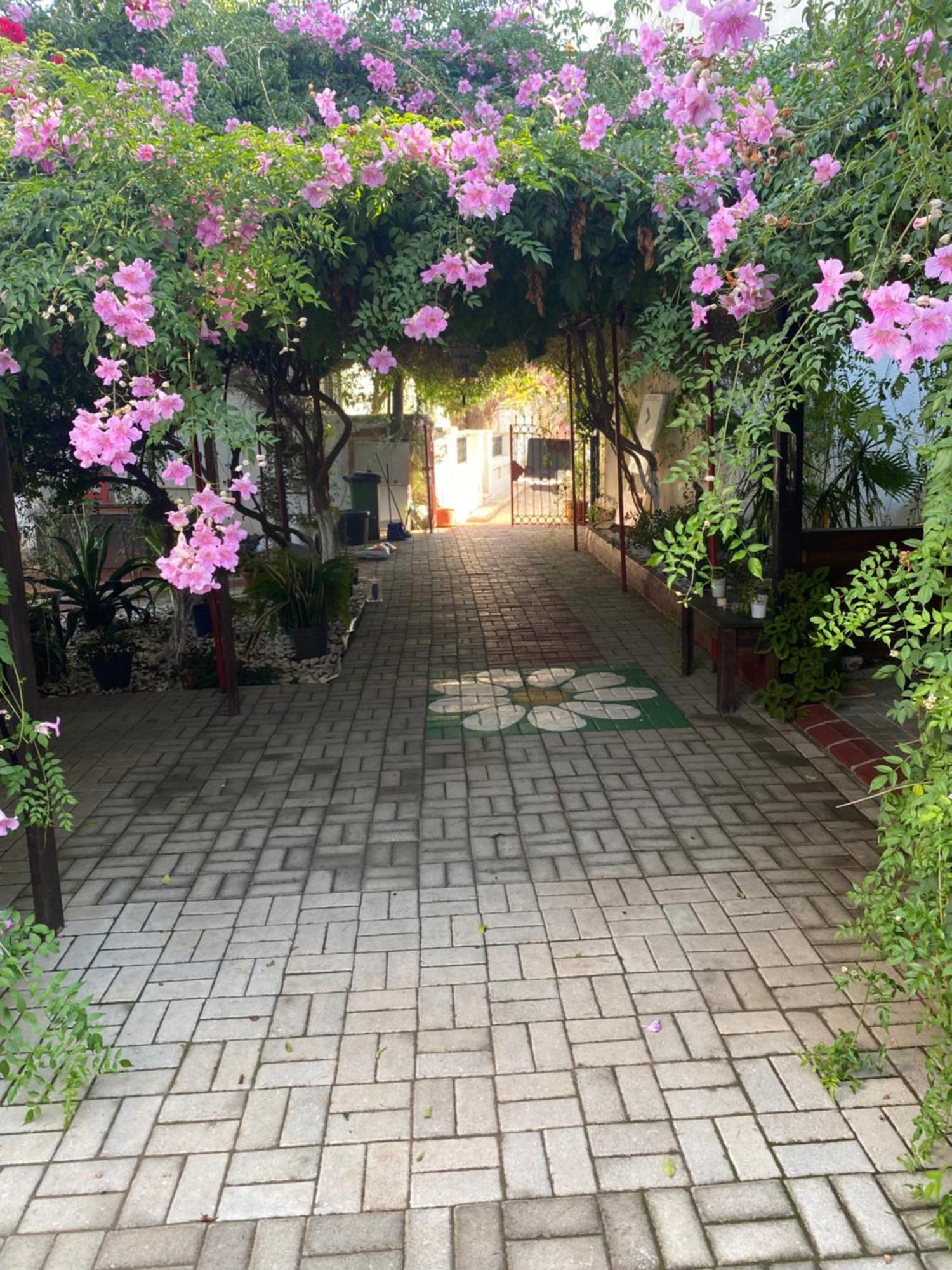 Betul Guest House Famagusta  Bagian luar foto
